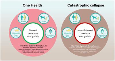 On the Verge of a Catastrophic Collapse? The Need for a Multi-Ecosystem Approach to Microbiome Studies